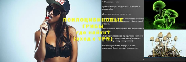 прущая мука Краснослободск