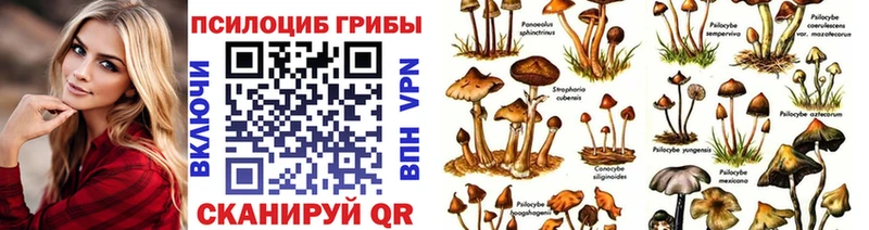 Псилоцибиновые грибы ЛСД  MEGA tor  Северобайкальск 