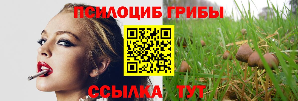 Северобайкальск  Псилоцибиновые грибы Cubensis  Вход с VPN 